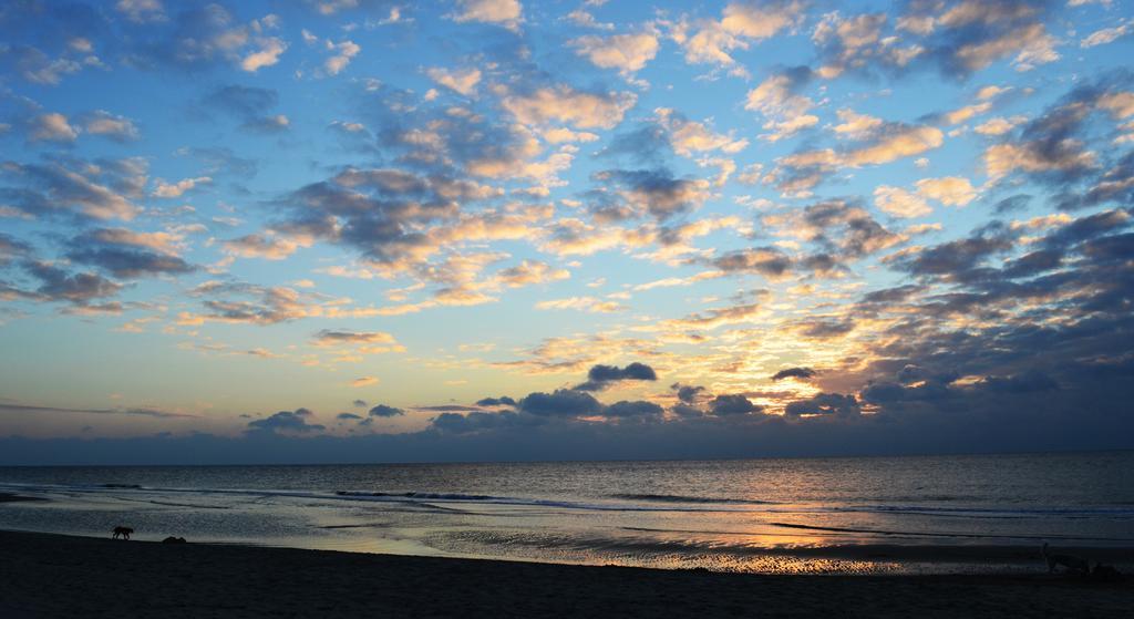 At The Beach Egmond * Egmond aan Zee